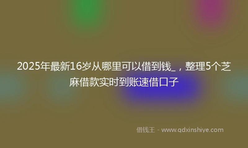 2025年最新16岁从哪里可以借到钱_，整理5个芝麻借款实时到账速借口子