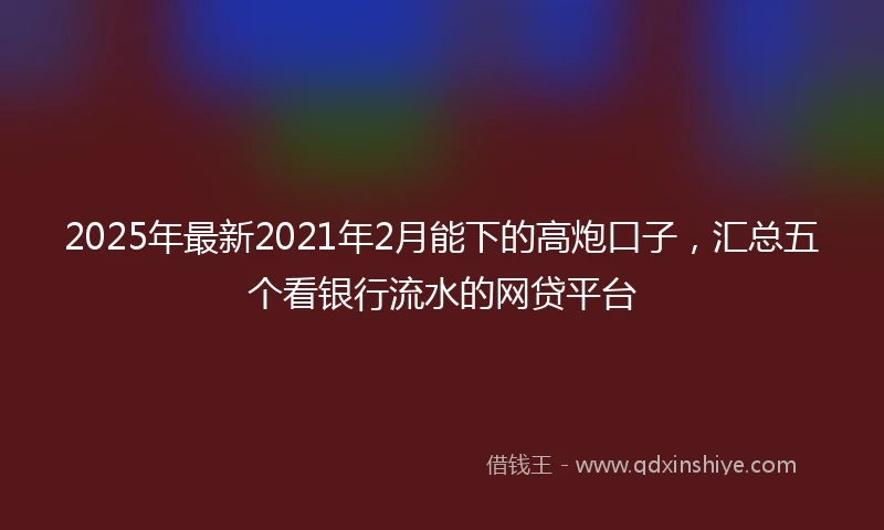 2025年最新2021年2月能下的高炮口子，汇总五个看银行流水的网贷平台
