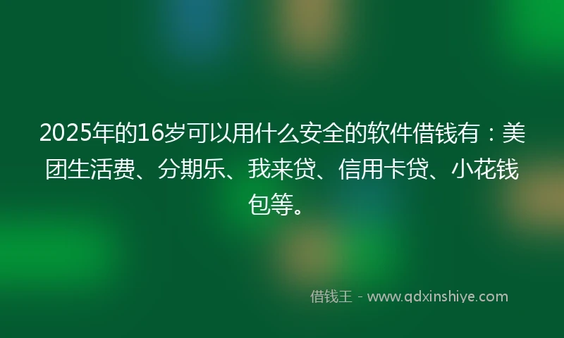 2025年的16岁可以用什么安全的软件借钱有：美团生活费、分期乐、我来贷、信用卡贷、小花钱包等。