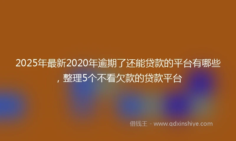 2025年最新2020年逾期了还能贷款的平台有哪些，整理5个不看欠款的贷款平台
