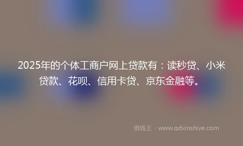 2025年的个体工商户网上贷款有：读秒贷、小米贷款、花呗、信用卡贷、京东金融等。