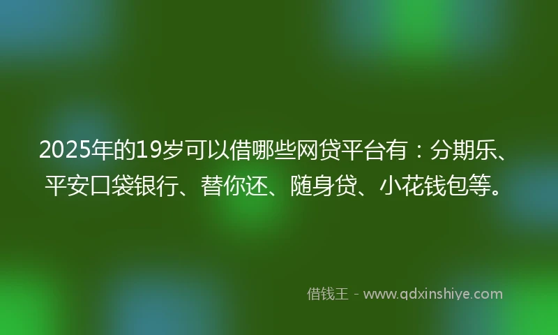 2025年的19岁可以借哪些网贷平台有：分期乐、平安口袋银行、替你还、随身贷、小花钱包等。