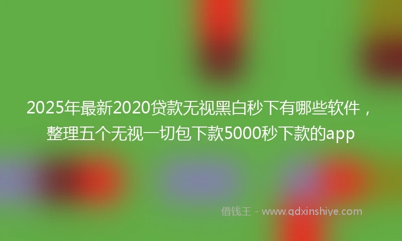 2025年最新2020贷款无视黑白秒下有哪些软件，整理五个无视一切包下款5000秒下款的app