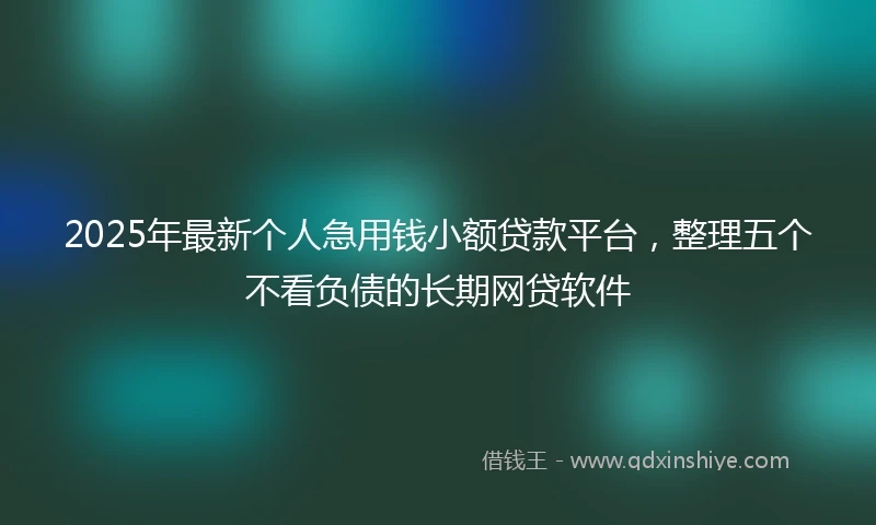 2025年最新个人急用钱小额贷款平台，整理五个不看负债的长期网贷软件