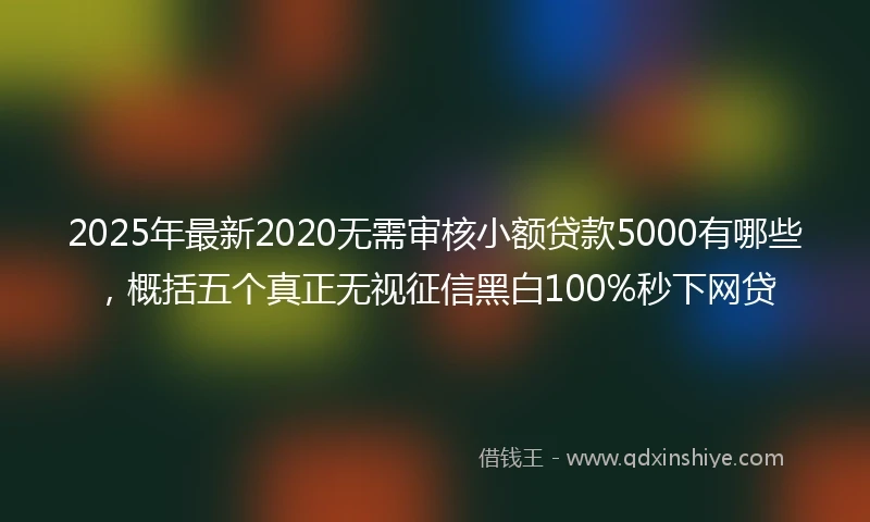 2025年最新2020无需审核小额贷款5000有哪些，概括五个真正无视征信黑白100%秒下网贷
