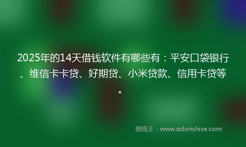 2025年的14天借钱软件有哪些有：平安口袋银行、维信卡卡贷、好期贷、小米贷款、信用卡贷等。