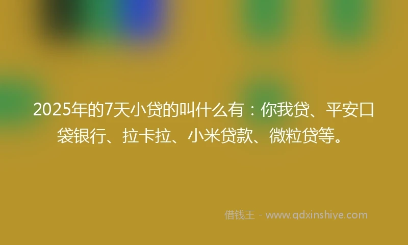 2025年的7天小贷的叫什么有：你我贷、平安口袋银行、拉卡拉、小米贷款、微粒贷等。