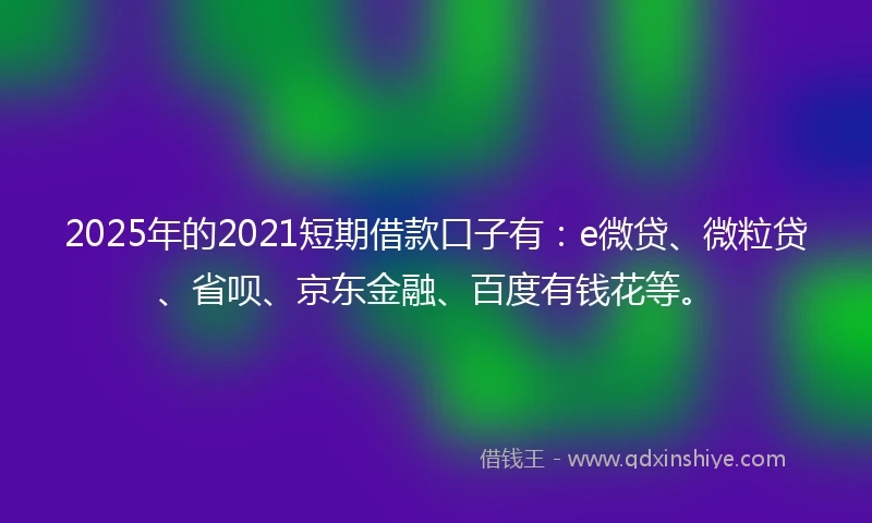 2025年的2021短期借款口子有：e微贷、微粒贷、省呗、京东金融、百度有钱花等。