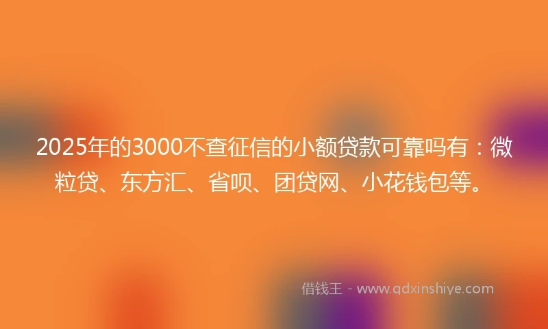 2025年的3000不查征信的小额贷款可靠吗有：微粒贷、东方汇、省呗、团贷网、小花钱包等。