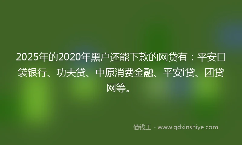 2025年的2020年黑户还能下款的网贷有：平安口袋银行、功夫贷、中原消费金融、平安i贷、团贷网等。