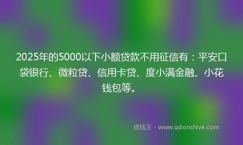 2025年的5000以下小额贷款不用征信有：平安口袋银行、微粒贷、信用卡贷、度小满金融、小花钱包等。