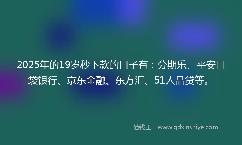 2025年的19岁秒下款的口子有：分期乐、平安口袋银行、京东金融、东方汇、51人品贷等。