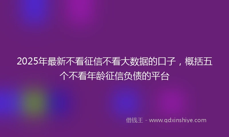 2025年最新不看征信不看大数据的口子，概括五个不看年龄征信负债的平台