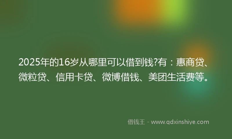 2025年的16岁从哪里可以借到钱?有：惠商贷、微粒贷、信用卡贷、微博借钱、美团生活费等。