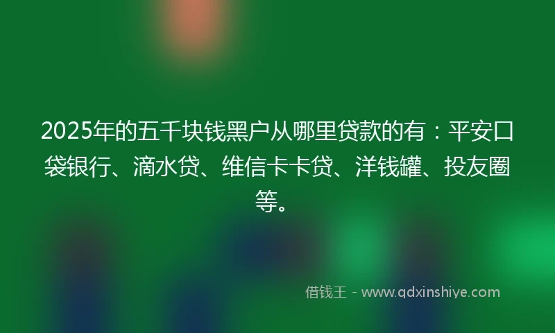 2025年的五千块钱黑户从哪里贷款的有：平安口袋银行、滴水贷、维信卡卡贷、洋钱罐、投友圈等。