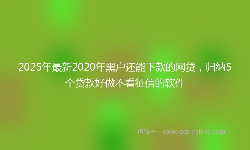 2025年最新2020年黑户还能下款的网贷，归纳5个贷款好做不看征信的软件