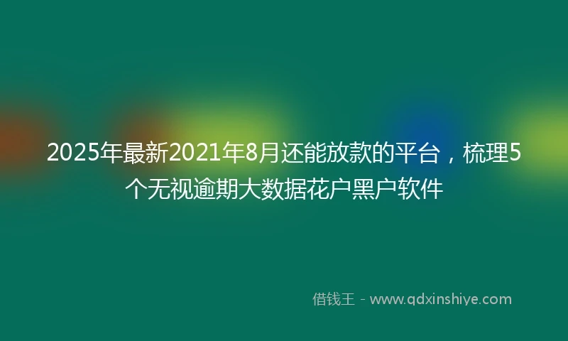 2025年最新2021年8月还能放款的平台，梳理5个无视逾期大数据花户黑户软件
