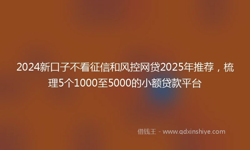 2024新口子不看征信和风控网贷2025年推荐，梳理5个1000至5000的小额贷款平台