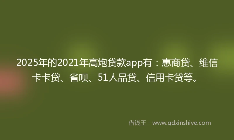 2025年的2021年高炮贷款app有：惠商贷、维信卡卡贷、省呗、51人品贷、信用卡贷等。