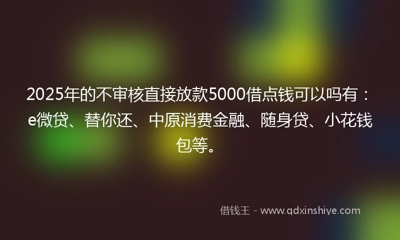 2025年的不审核直接放款5000借点钱可以吗有：e微贷、替你还、中原消费金融、随身贷、小花钱包等。