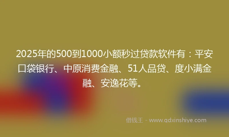 2025年的500到1000小额秒过贷款软件有：平安口袋银行、中原消费金融、51人品贷、度小满金融、安逸花等。