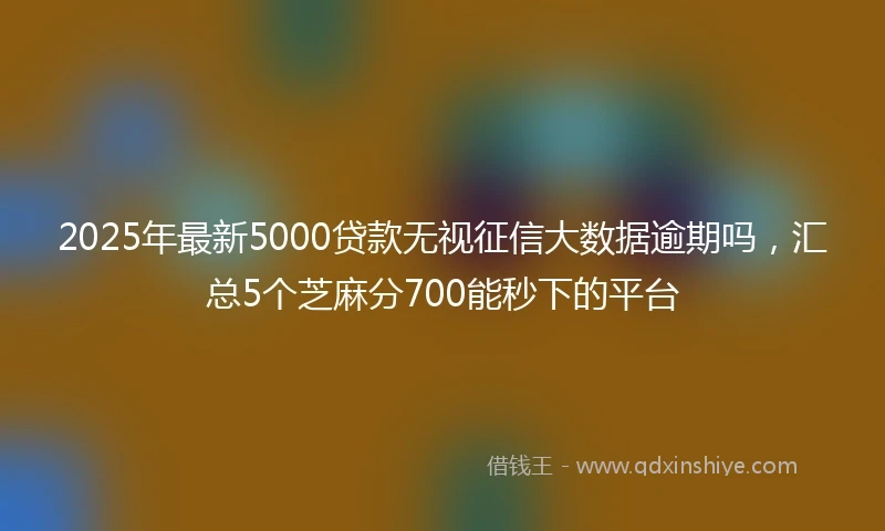 2025年最新5000贷款无视征信大数据逾期吗，汇总5个芝麻分700能秒下的平台