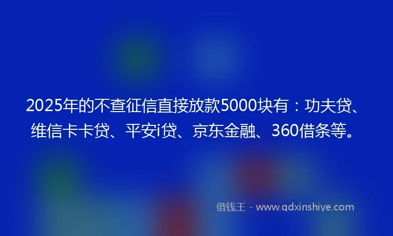2025年的不查征信直接放款5000块有：功夫贷、维信卡卡贷、平安i贷、京东金融、360借条等。