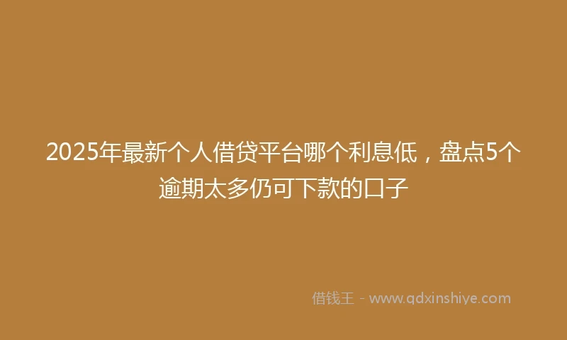 2025年最新个人借贷平台哪个利息低，盘点5个逾期太多仍可下款的口子