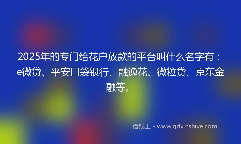 2025年的专门给花户放款的平台叫什么名字有：e微贷、平安口袋银行、融逸花、微粒贷、京东金融等。