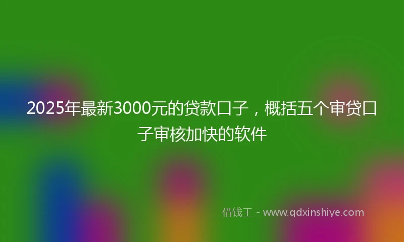 2025年最新3000元的贷款口子，概括五个审贷口子审核加快的软件