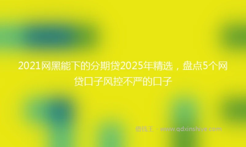 2021网黑能下的分期贷2025年精选，盘点5个网贷口子风控不严的口子