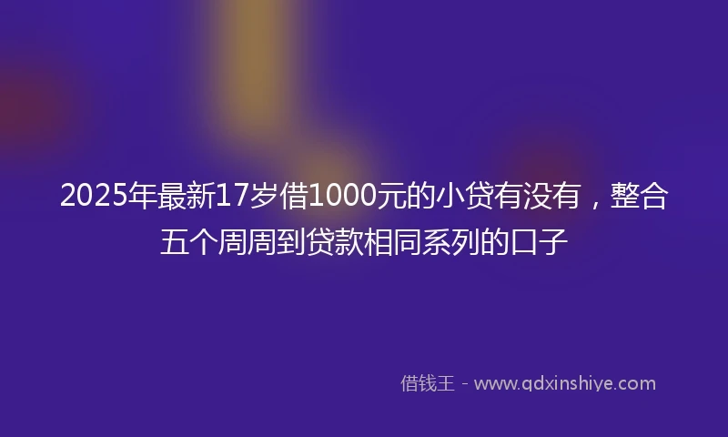 2025年最新17岁借1000元的小贷有没有，整合五个周周到贷款相同系列的口子