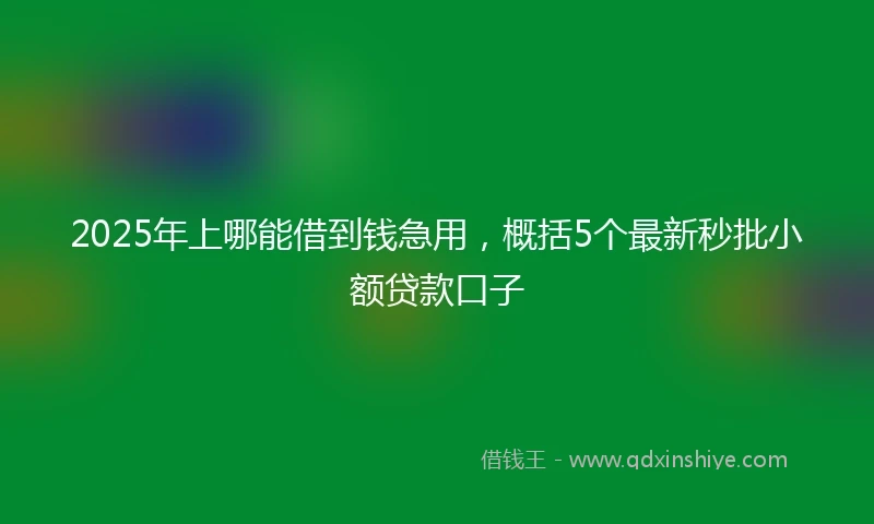 2025年上哪能借到钱急用，概括5个最新秒批小额贷款口子