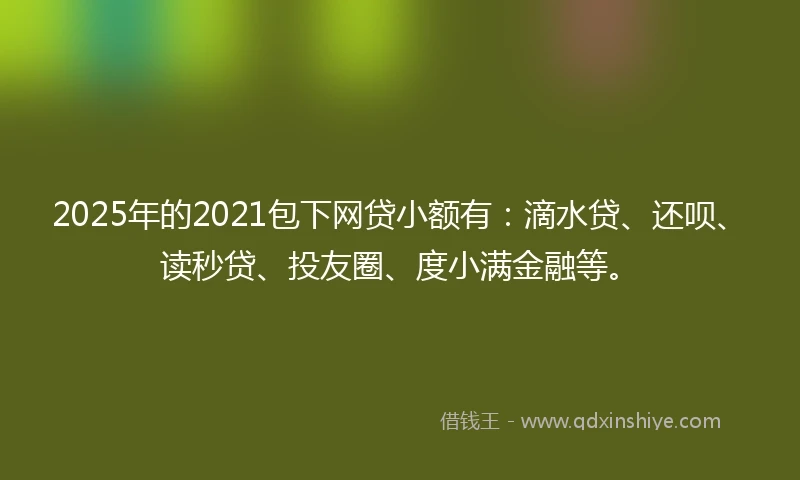 2025年的2021包下网贷小额有：滴水贷、还呗、读秒贷、投友圈、度小满金融等。