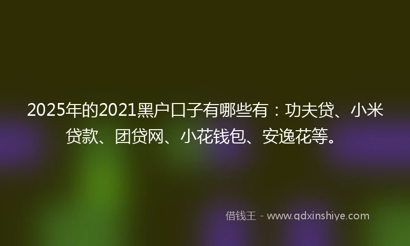 2025年的2021黑户口子有哪些有：功夫贷、小米贷款、团贷网、小花钱包、安逸花等。