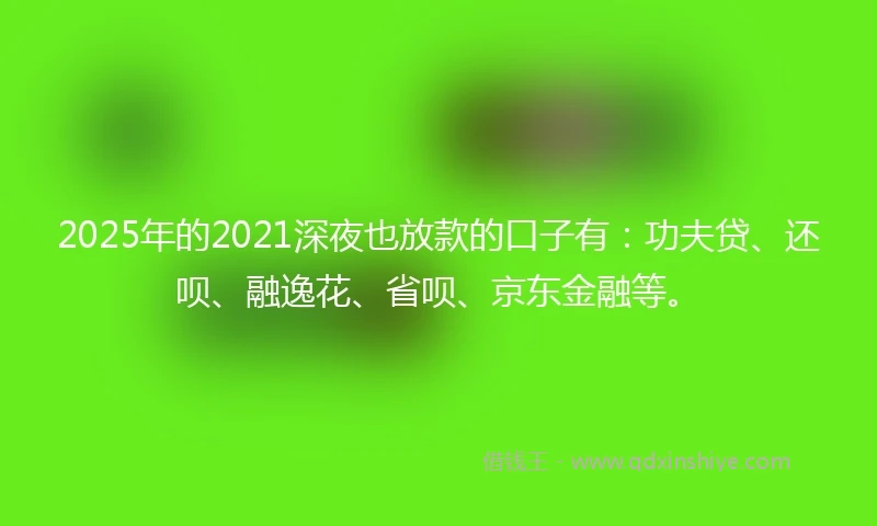 2025年的2021深夜也放款的口子有：功夫贷、还呗、融逸花、省呗、京东金融等。