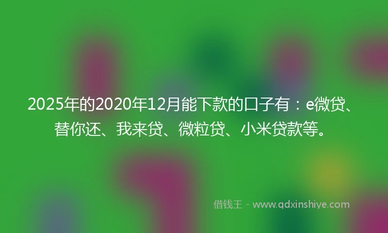 2025年的2020年12月能下款的口子有：e微贷、替你还、我来贷、微粒贷、小米贷款等。