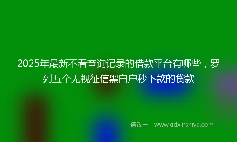 2025年最新不看查询记录的借款平台有哪些，罗列五个无视征信黑白户秒下款的贷款