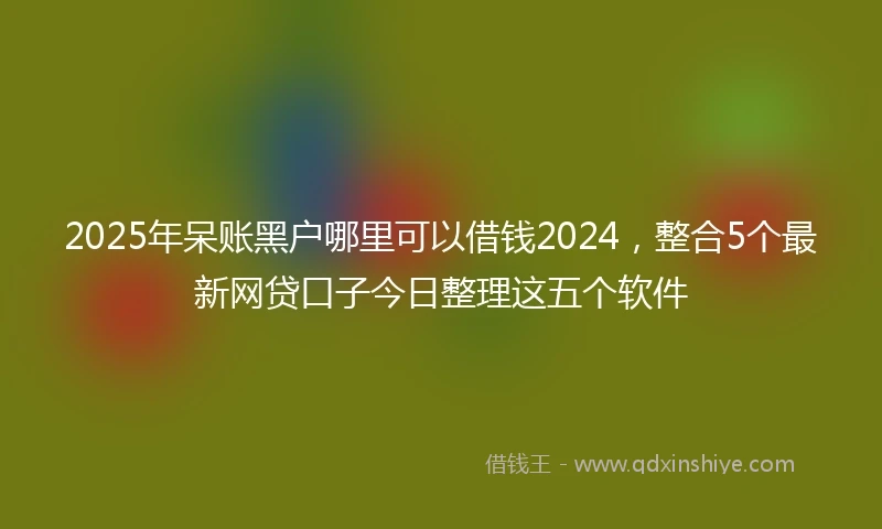 2025年呆账黑户哪里可以借钱2024，整合5个最新网贷口子今日整理这五个软件