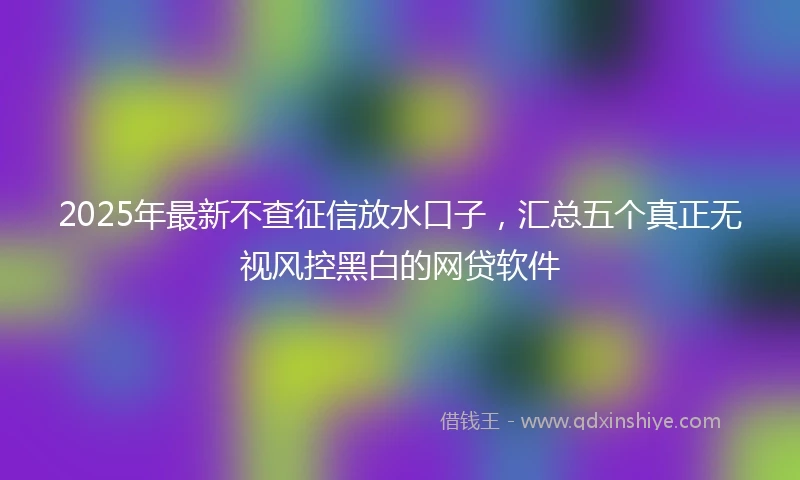 2025年最新不查征信放水口子，汇总五个真正无视风控黑白的网贷软件