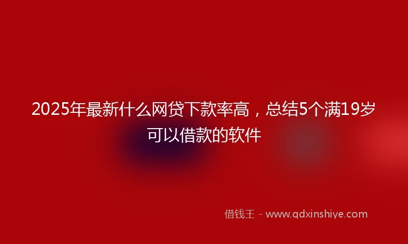 2025年最新什么网贷下款率高，总结5个满19岁可以借款的软件