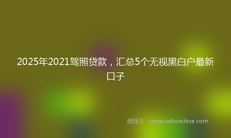 2025年2021驾照贷款，汇总5个无视黑白户最新口子
