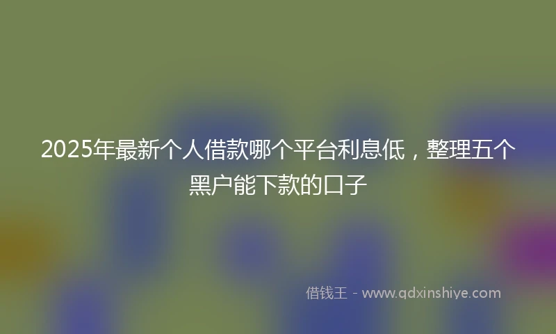 2025年最新个人借款哪个平台利息低，整理五个黑户能下款的口子