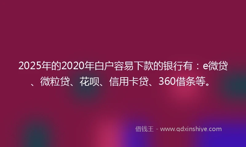 2025年的2020年白户容易下款的银行有：e微贷、微粒贷、花呗、信用卡贷、360借条等。