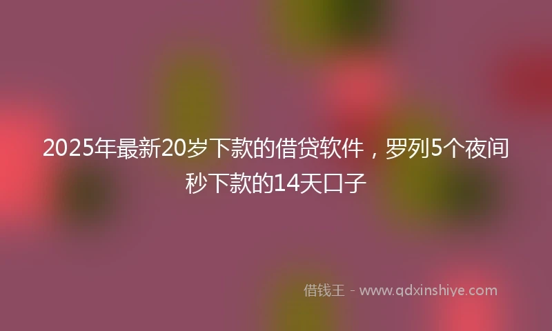 2025年最新20岁下款的借贷软件，罗列5个夜间秒下款的14天口子
