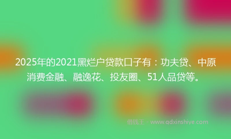 2025年的2021黑烂户贷款口子有：功夫贷、中原消费金融、融逸花、投友圈、51人品贷等。