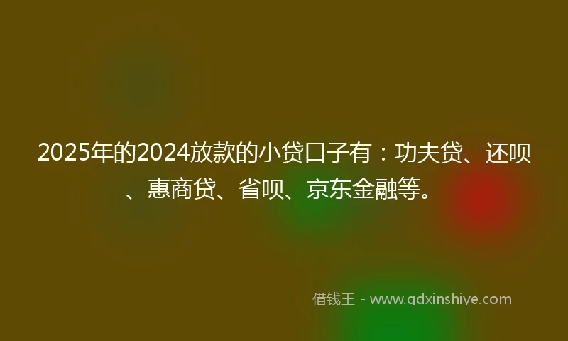 2025年的2024放款的小贷口子有：功夫贷、还呗、惠商贷、省呗、京东金融等。
