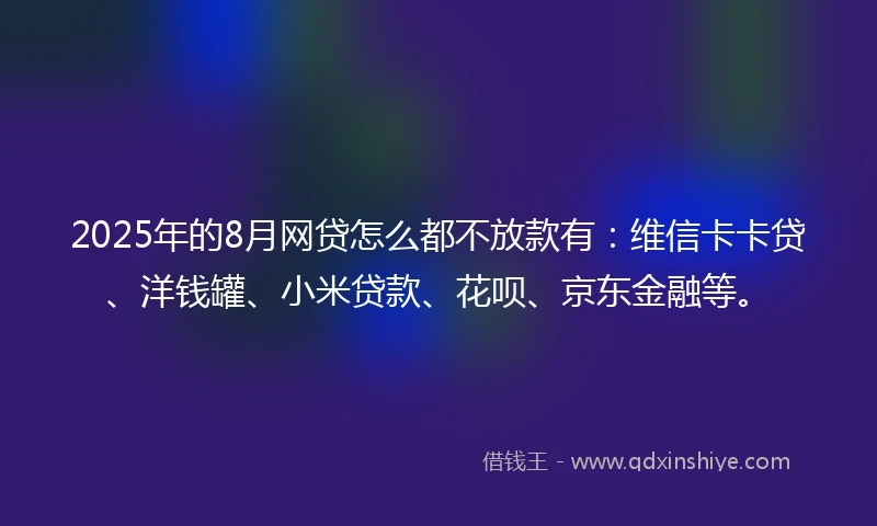 2025年的8月网贷怎么都不放款有：维信卡卡贷、洋钱罐、小米贷款、花呗、京东金融等。