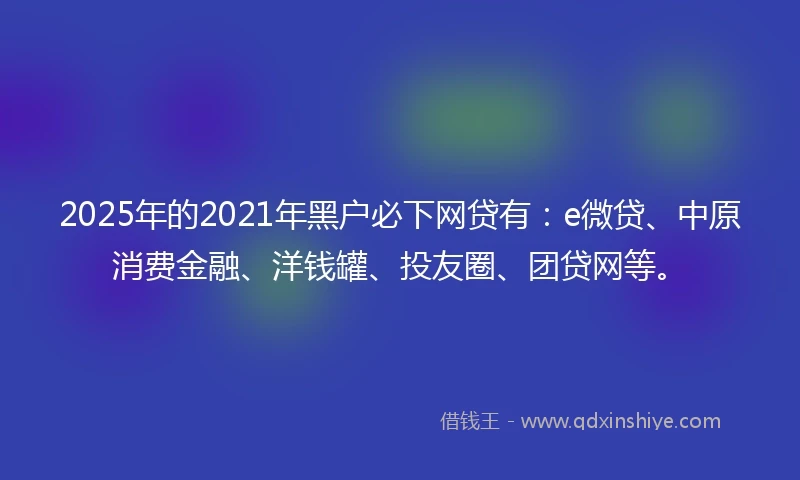 2025年的2021年黑户必下网贷有：e微贷、中原消费金融、洋钱罐、投友圈、团贷网等。