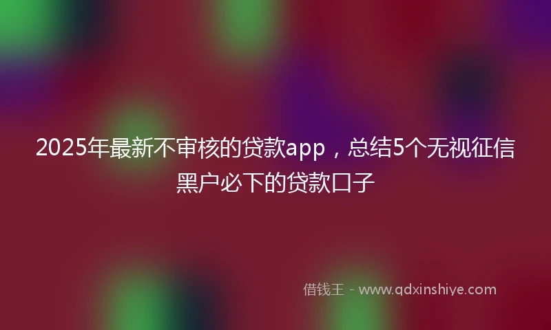2025年最新不审核的贷款app，总结5个无视征信黑户必下的贷款口子